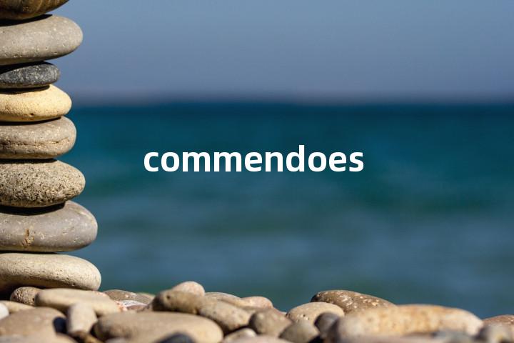 commendoes单词图解，单词释义场景配图