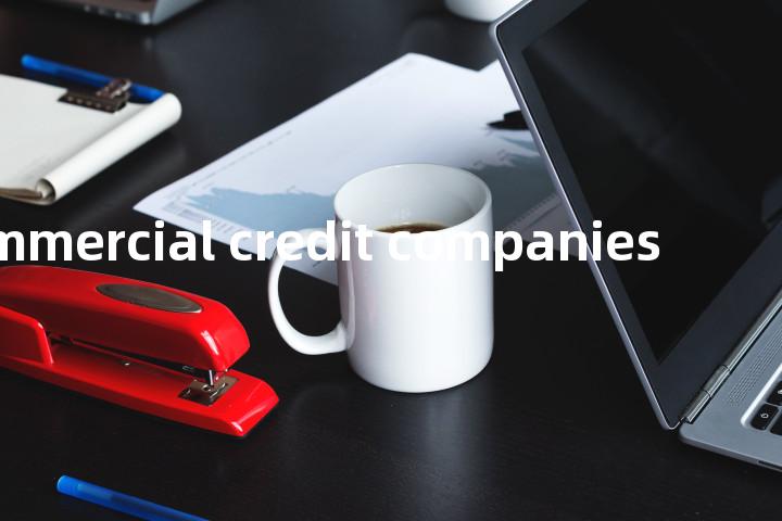 commercial credit companies单词图解，单词释义场景配图