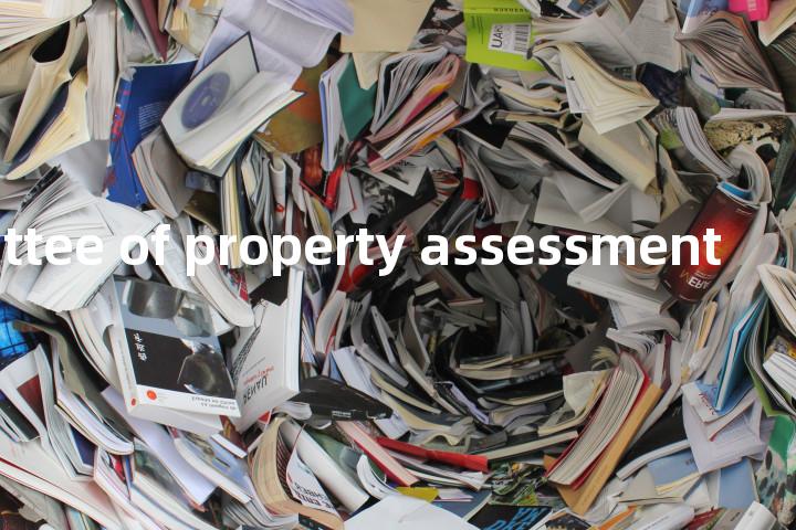 committee of property assessment单词图解，单词释义场景配图