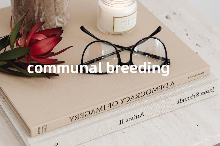 communal breeding单词图解，单词释义场景配图
