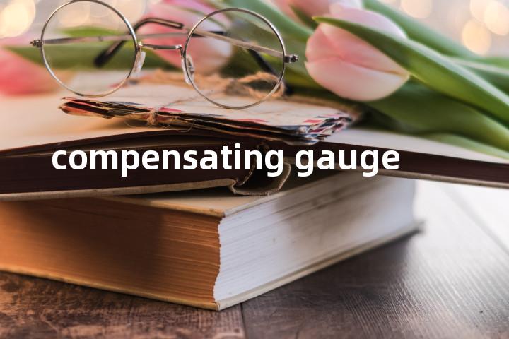 compensating gauge单词图解，单词释义场景配图