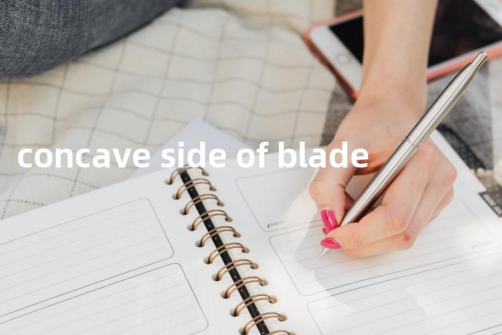 concave side of blade单词图解，单词释义场景配图