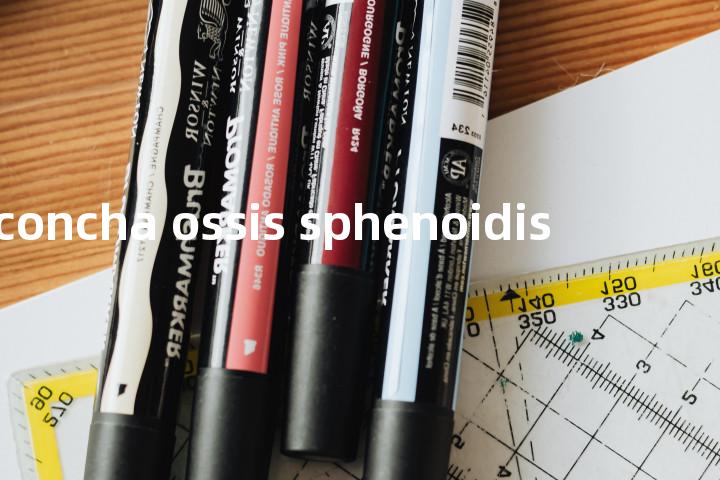 concha ossis sphenoidis单词图解，单词释义场景配图