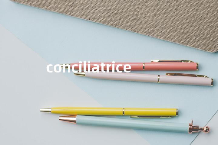 conciliatrice单词图解，单词释义场景配图