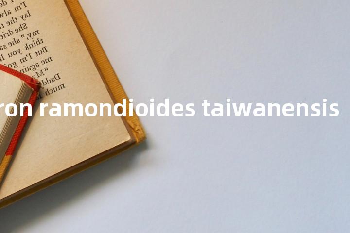 conandron ramondioides taiwanensis单词图解，单词释义场景配图