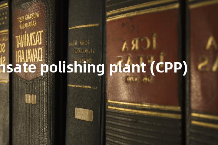 condensate polishing plant (CPP)单词图解，单词释义场景配图