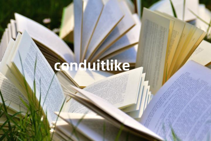 conduitlike单词图解，单词释义场景配图