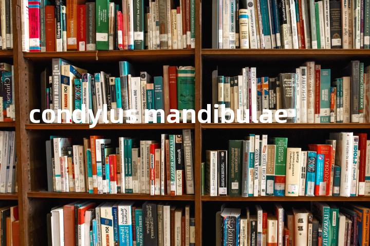 condylus mandibulae单词图解，单词释义场景配图