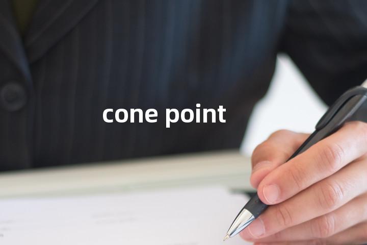 cone point单词图解，单词释义场景配图