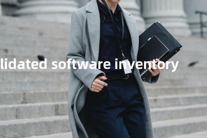 consolidated software inventory单词图解，单词释义场景配图