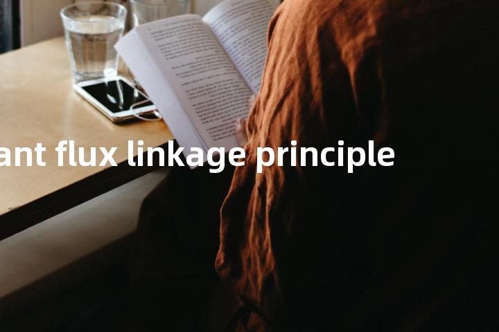 constant flux linkage principle单词图解，单词释义场景配图