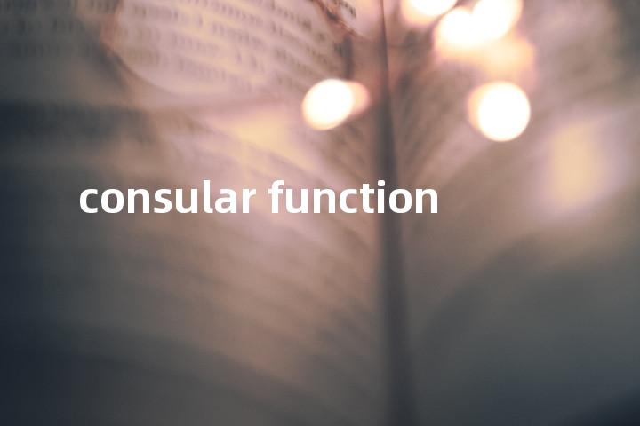 consular function单词图解，单词释义场景配图