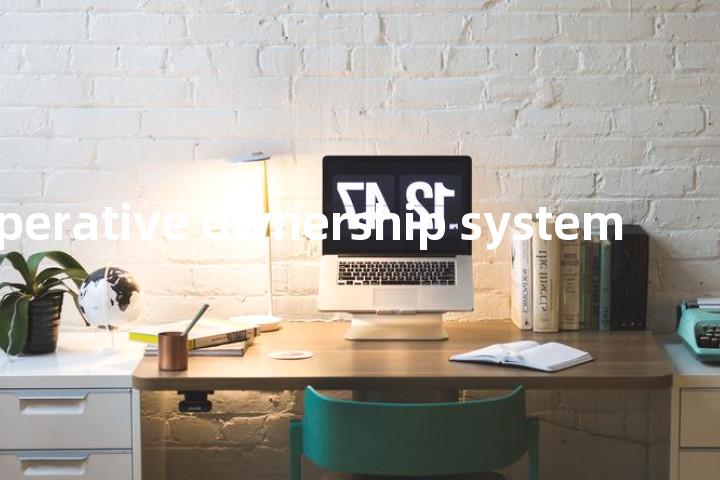cooperative ownership system单词图解，单词释义场景配图
