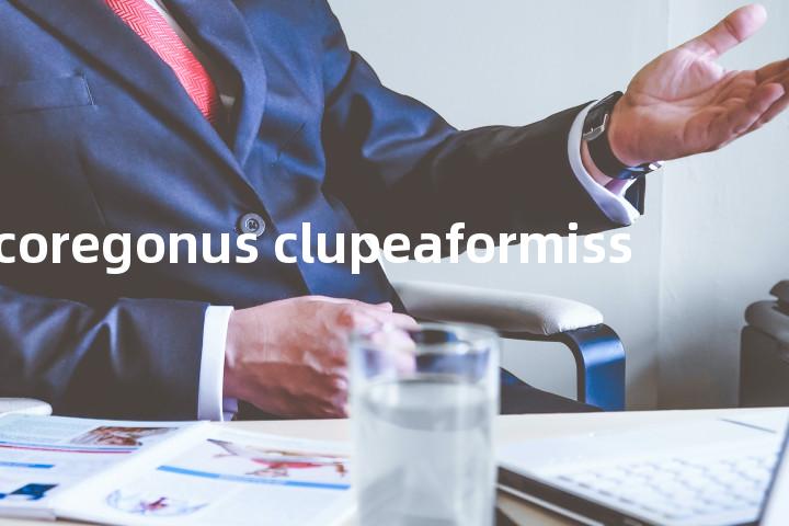 coregonus clupeaformiss单词图解，单词释义场景配图