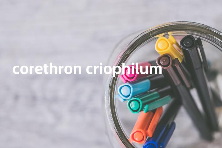corethron criophilum单词图解，单词释义场景配图
