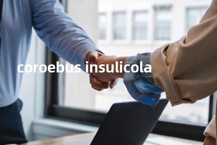 coroebus insulicola单词图解，单词释义场景配图