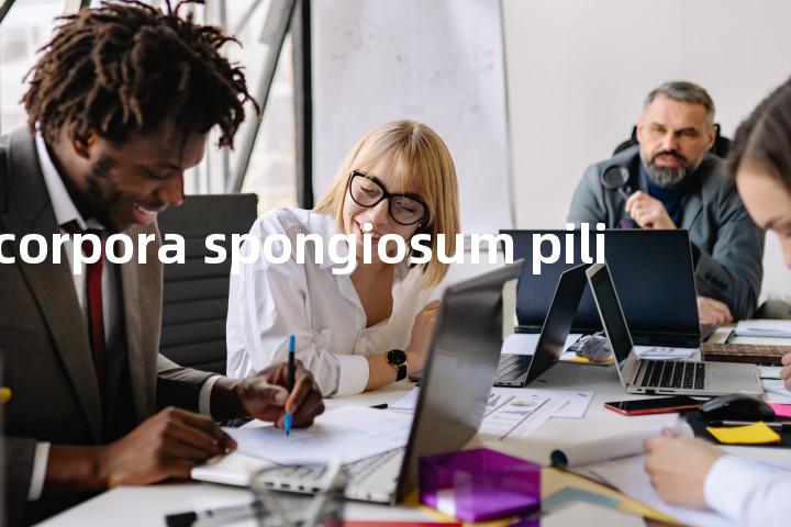 corpora spongiosum pili单词图解，单词释义场景配图