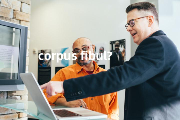 corpus fibul?单词图解，单词释义场景配图