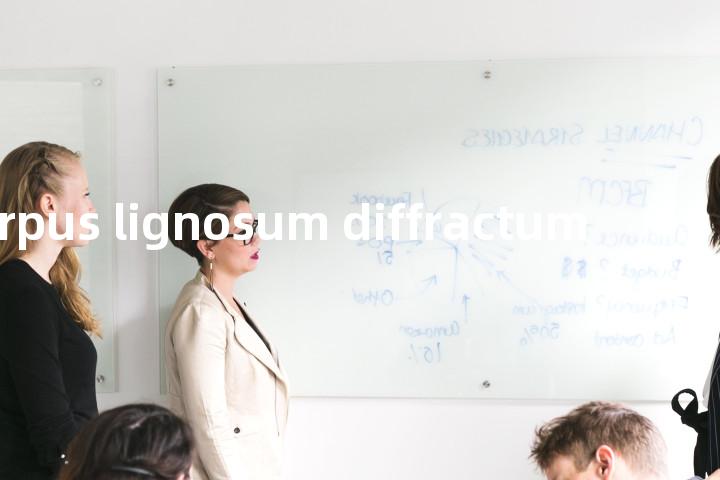 corpus lignosum diffractum单词图解，单词释义场景配图