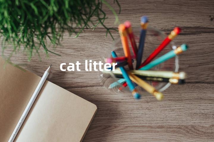 cat litter单词图解，单词释义场景配图