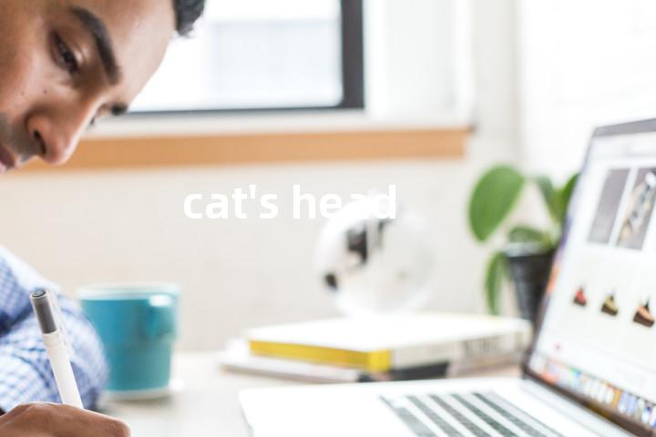 cat's head单词图解，单词释义场景配图