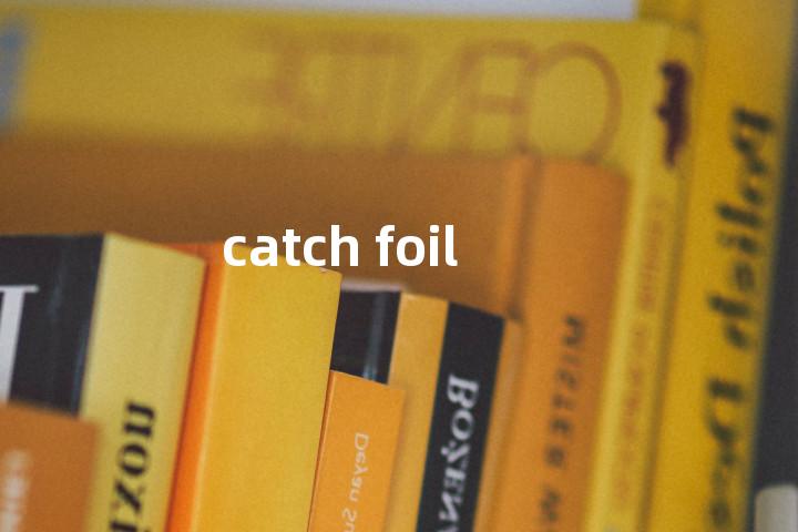 catch foil单词图解，单词释义场景配图