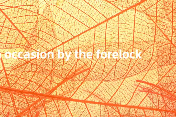 catch occasion by the forelock单词图解，单词释义场景配图