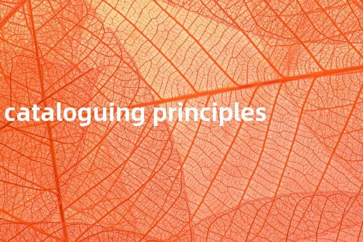 cataloguing principles单词图解，单词释义场景配图