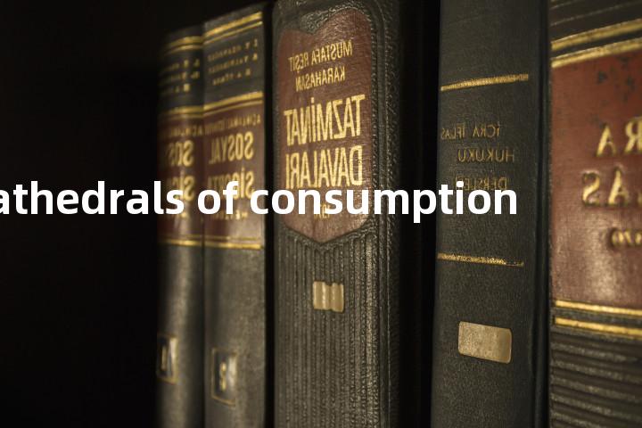 cathedrals of consumption单词图解，单词释义场景配图