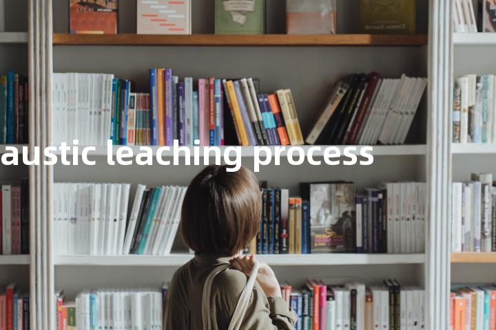 caustic leaching process单词图解，单词释义场景配图