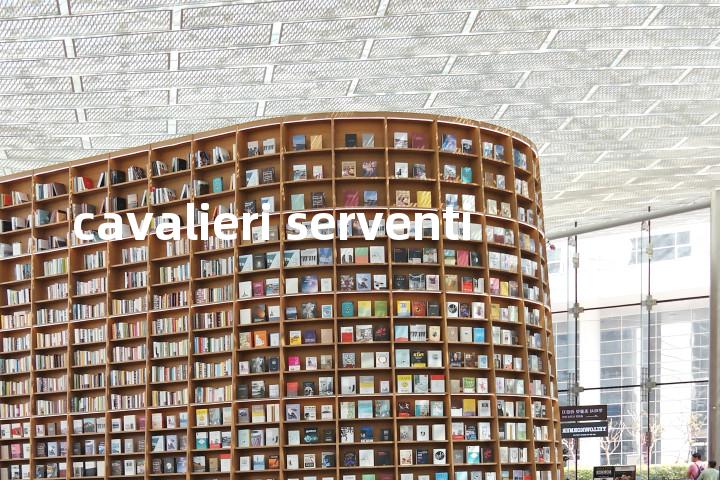 cavalieri serventi单词图解，单词释义场景配图