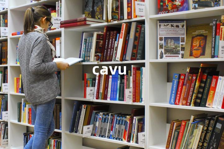 cavu单词图解，单词释义场景配图
