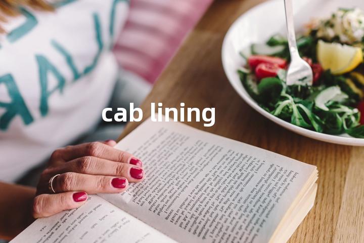 cab lining单词图解，单词释义场景配图