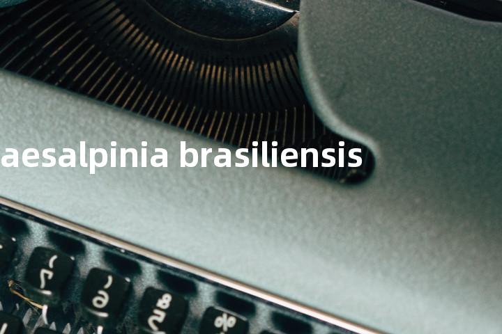 caesalpinia brasiliensis单词图解，单词释义场景配图