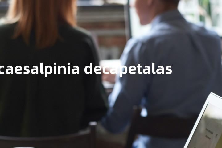 caesalpinia decapetalas单词图解，单词释义场景配图
