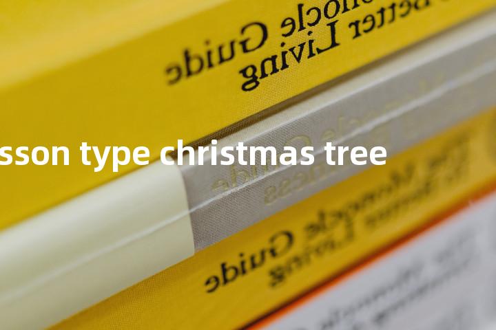 caisson type christmas tree单词图解，单词释义场景配图