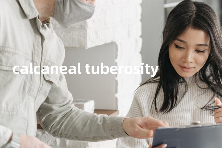 calcaneal tuberosity单词图解，单词释义场景配图
