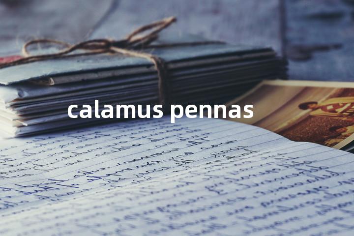 calamus pennas单词图解，单词释义场景配图