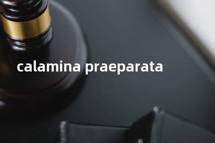 calamina praeparata单词图解，单词释义场景配图