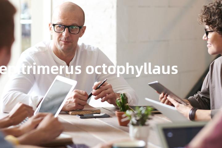 calepitrimerus octophyllaus单词图解，单词释义场景配图