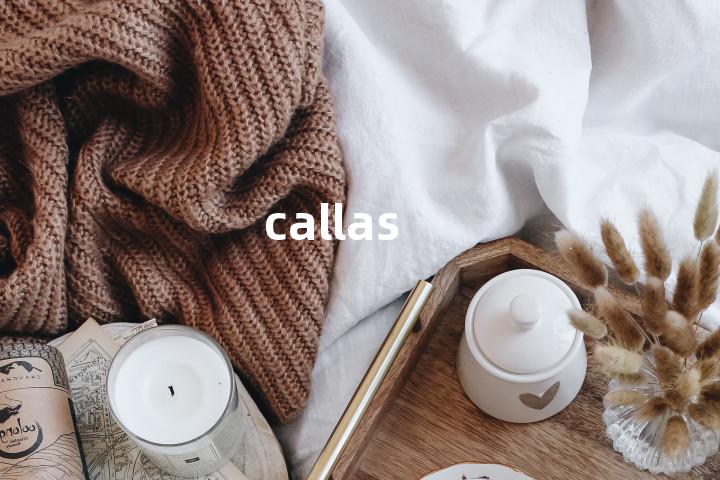 callas单词图解，单词释义场景配图