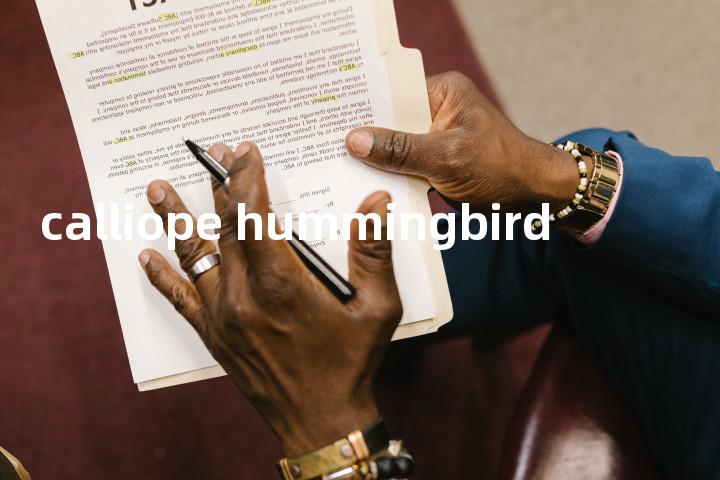 calliope hummingbird单词图解，单词释义场景配图
