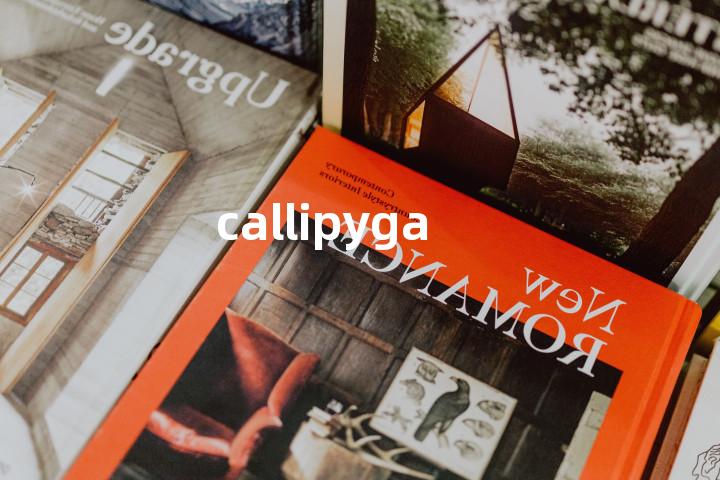 callipyga单词图解，单词释义场景配图