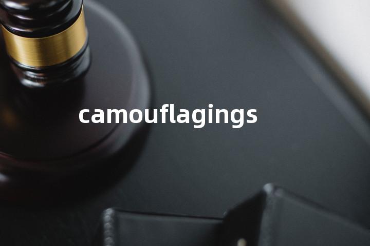 camouflagings单词图解，单词释义场景配图