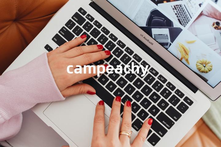 campeachy单词图解，单词释义场景配图