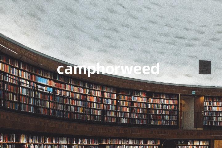 camphorweed单词图解，单词释义场景配图