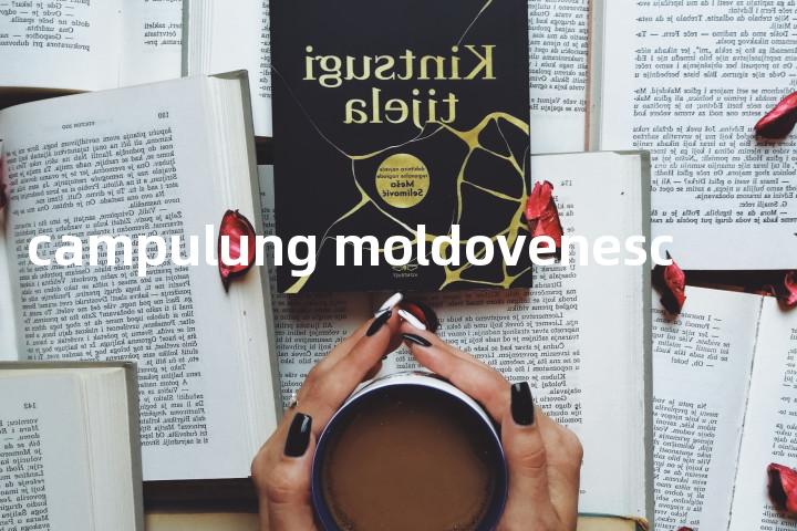 campulung moldovenesc单词图解，单词释义场景配图