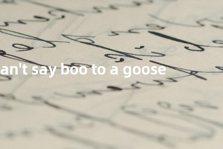 can't say boo to a goose单词图解，单词释义场景配图