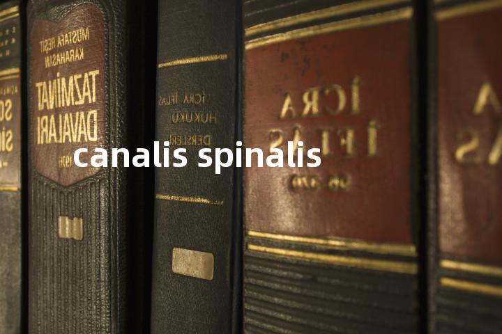 canalis spinalis单词图解，单词释义场景配图