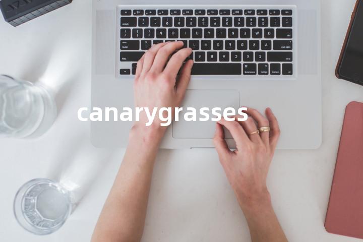 canarygrasses单词图解，单词释义场景配图